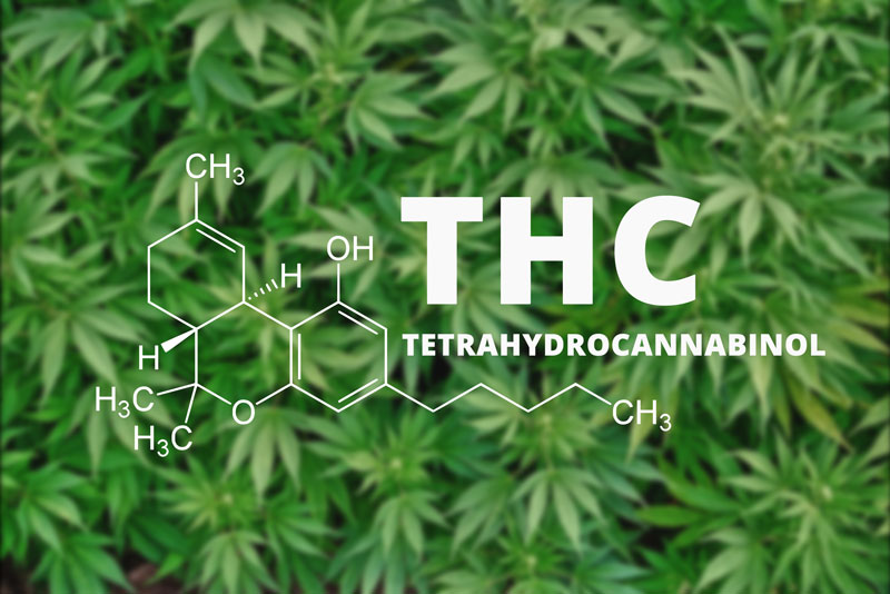 THC Tetrahydrocannabinol