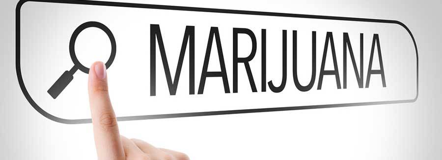 buy marijuana online canada