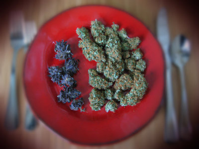 eat cannabis