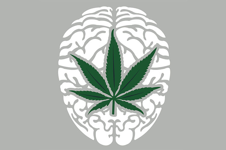 cannabis and ptsd 2 1 1