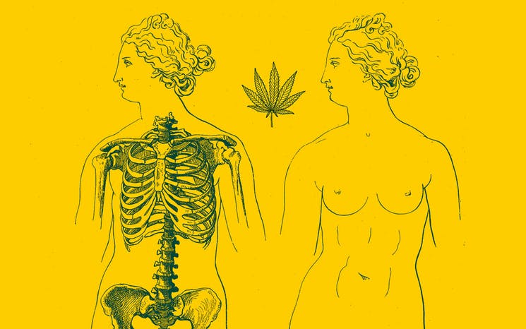 historic womens health cannabis 1