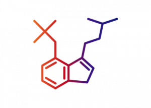 psilocybin molecule g 300x214 2