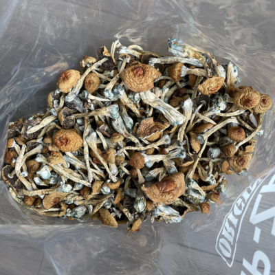 huautla magic mushroom bag 1 400x400 1