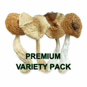 HEMPEARTH - Variety Pack Premium