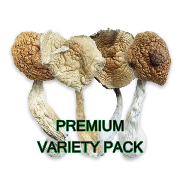 HEMPEARTH Premium Variety Pack 1