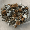 HEMPEARTH - Treasure Coast Mushrooms - Image 2