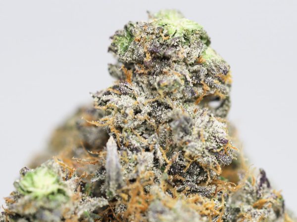 HEMPEARTH Wiz Khalifa kush AAAA 2