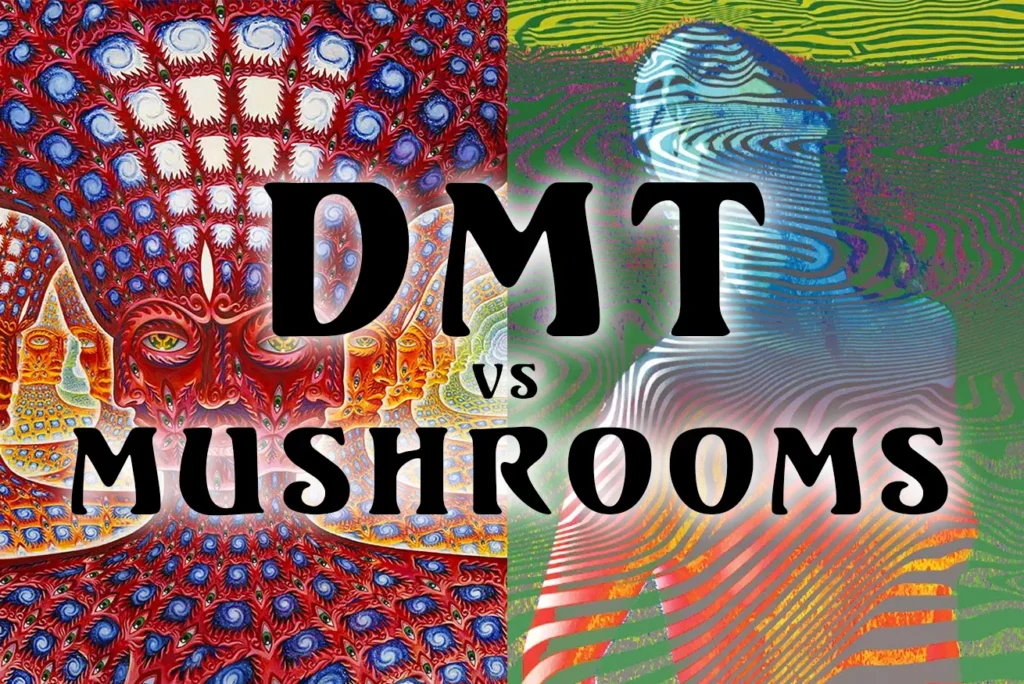 DMT vs MushroomsArtboard 4