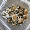 HEMPEARTH - Jedi Mind Fuck Mushrooms - Image 2