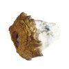 HEMPEARTH - Gold Member Mushrooms (Premium)