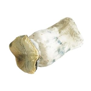 HEMPEARTH - Yeti Mushrooms (Premium)