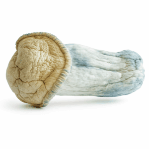 HEMPEARTH - Penis Envy Supreme (Premium)