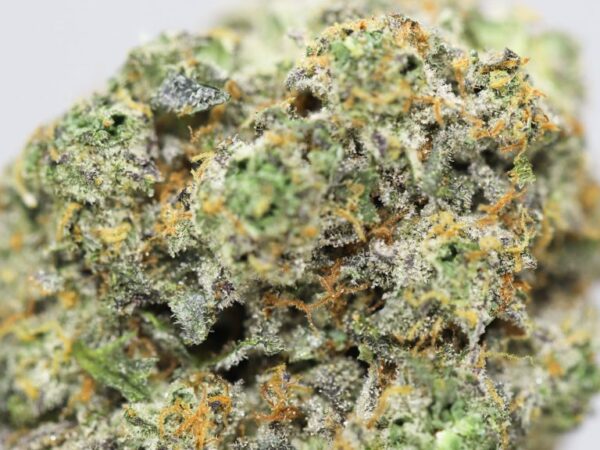 HEMPEARTH - Sour Diesel X Agent Orange - Sativa Dominant Hybrid - AAAA+ 33% THC - Image 2