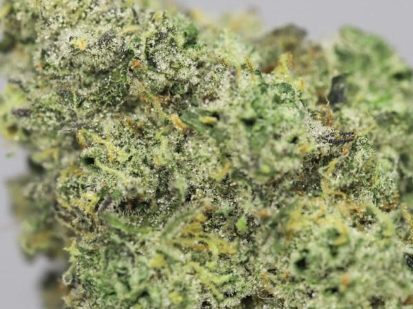 HEMPEARTH - Strawberry Tree - Sativa Dominant Hybrid – 20% Indica / 80% Sativa - AAAA+ 35% THC - Image 2