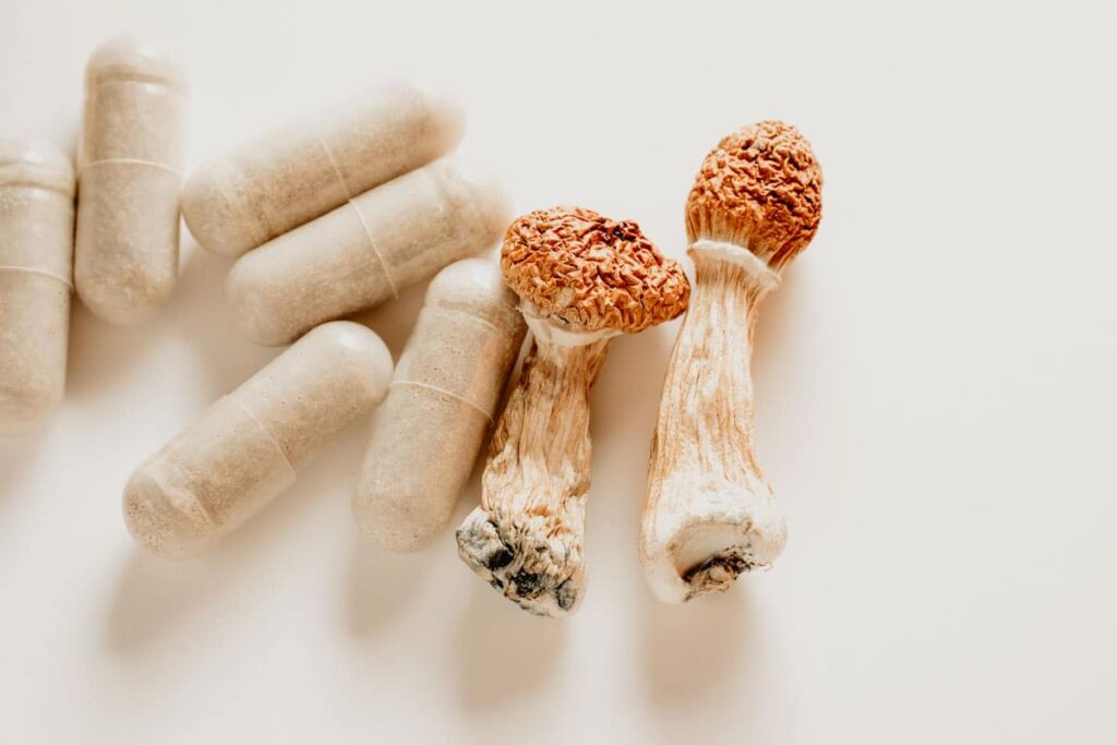 Mushrooms and capsules