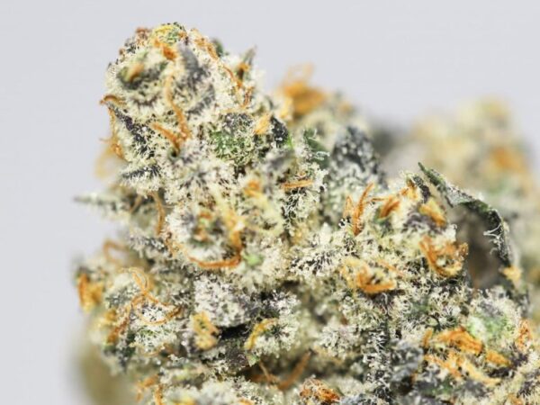 HEMPEARTH - Orange Truffle - 20% Indica - 80% Sativa - AAAA+ 33% THC - Image 2