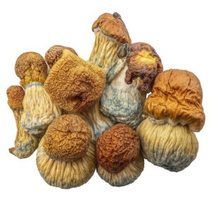 HEMPEARTH - Code Blue Mushrooms - Buy 1oz Get 1oz Free!