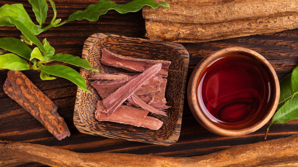 ayahuasca brew 955256090