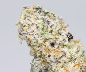 HEMPEARTH - Bubble Gum Sherbert – 70% Sativa - 30% Indica AAAA+ 32% THC 2 HEMPEARTH - Bubble Gum Sherbert – 70% Sativa - 30% Indica AAAA+ 32% THC - Image 2