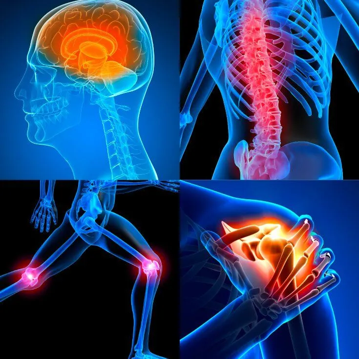 HEMPEARTH - Psychedelics Reduce Inflammation In The Body 6 603828c332936