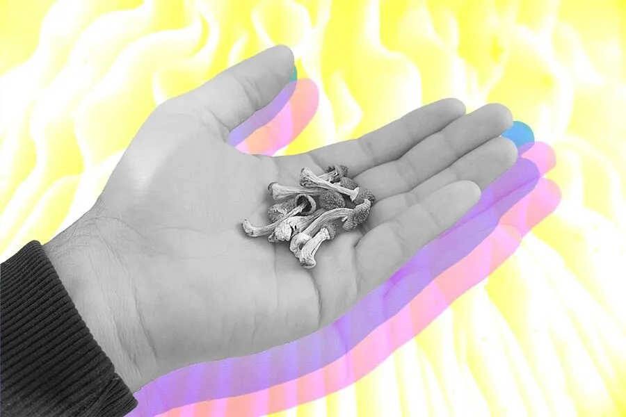 HEMPEARTH - Doing Shrooms Alone: How to Practice Safe Solo Tripping 3 beginner shroom dose PRIMARY