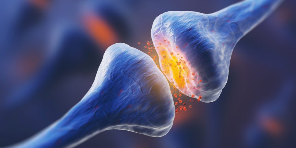 HEMPEARTH - Psychedelics Reduce Inflammation In The Body 5 brain connection neuron synapse