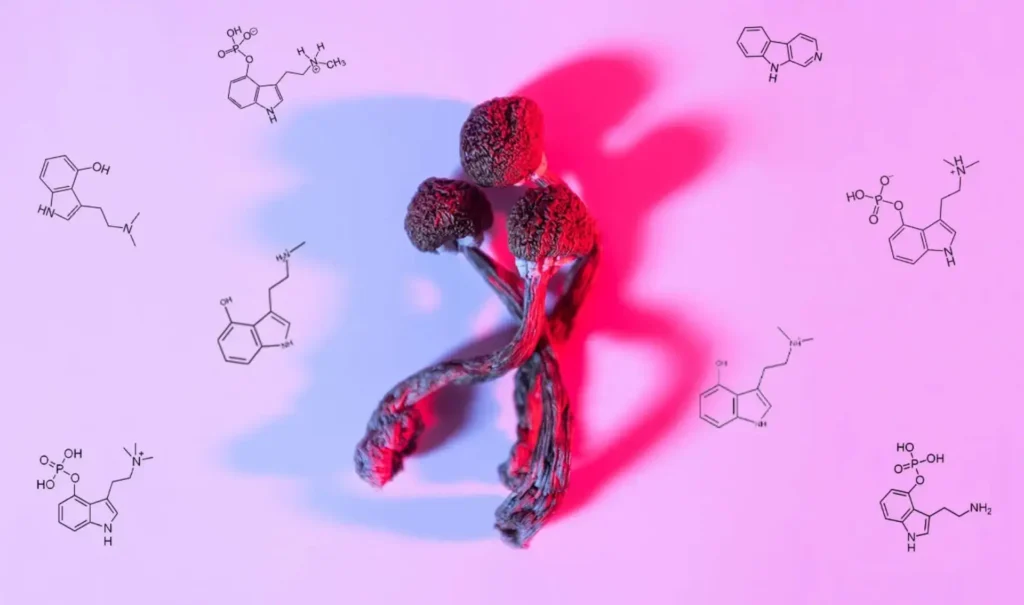 HEMPEARTH - Doing Shrooms Alone: How to Practice Safe Solo Tripping 6 image 2021 04 09T150217.479