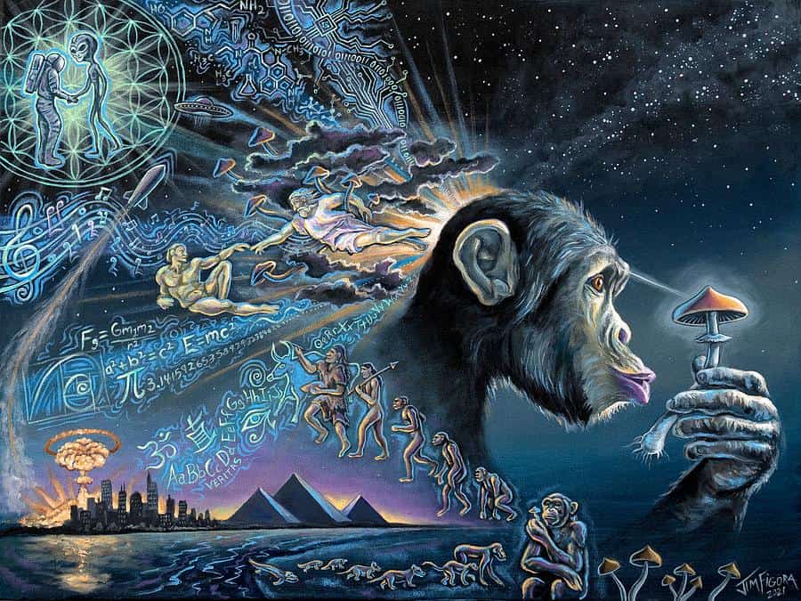 HEMPEARTH - Ways Psychedelics Impact Creative Thinking 4 the stoned ape theory jim figora