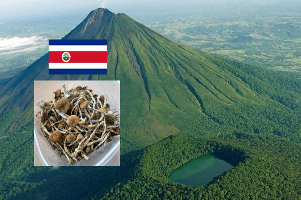 HEMPEARTH - All You Want To Know About Costa Rican Magic Mushrooms 2 Visit Arenal Volcano National Park 1 4 1 2