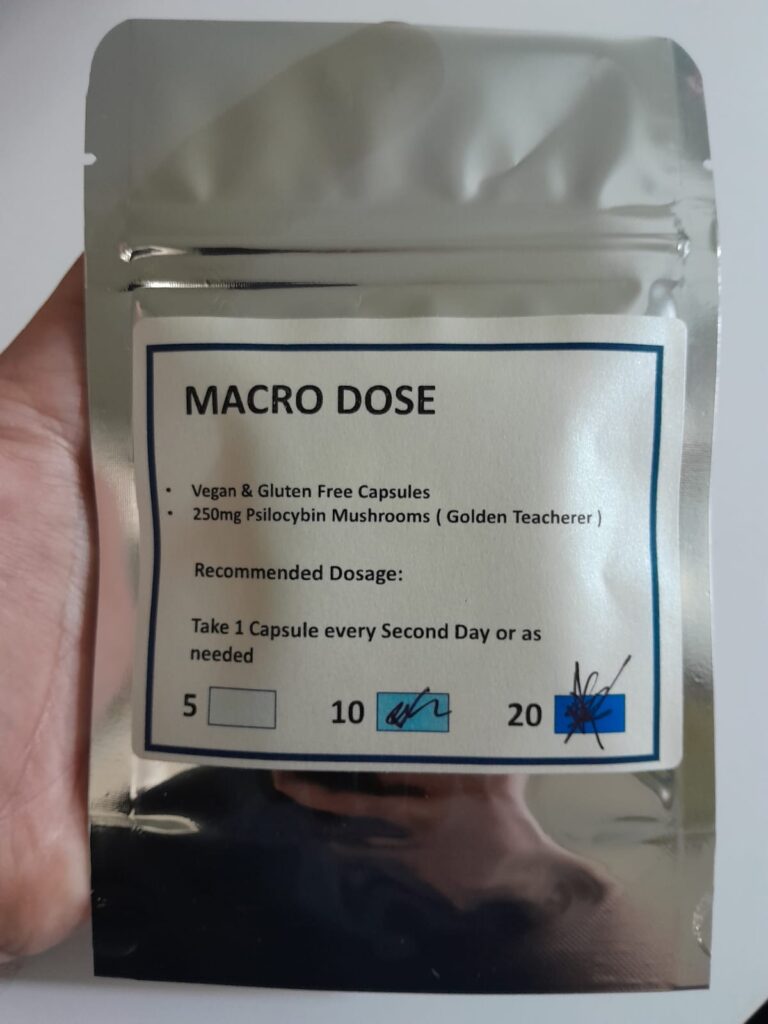 HEMPEARTH - Macrodosing vs. Microdosing Magic Mushrooms 2 WhatsApp Image 2024 08 10 at 20.14.37 e533a565 3