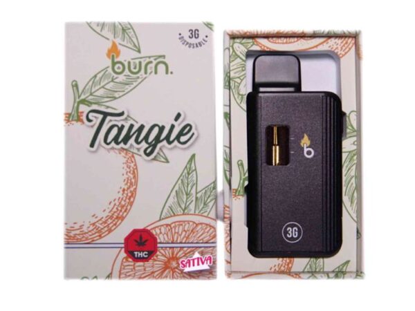 HEMPEARTH - Burn Disposable Vapes – Tangie 3ML