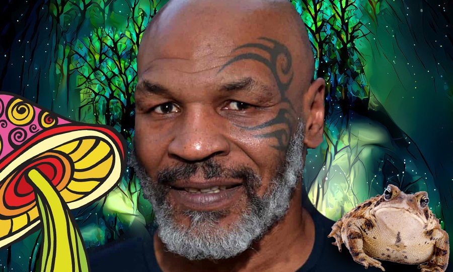 psychedelics mike tyson dmt 1