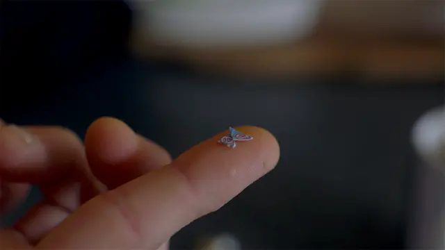 95567521 microdose pic2.jpg