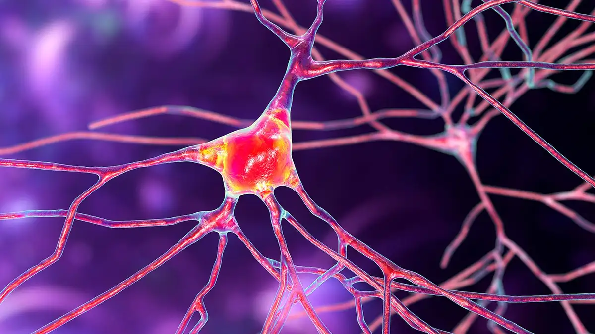 HEMPEARTH - Psychedelics Create New Brain Cells 3 SEI 153467469