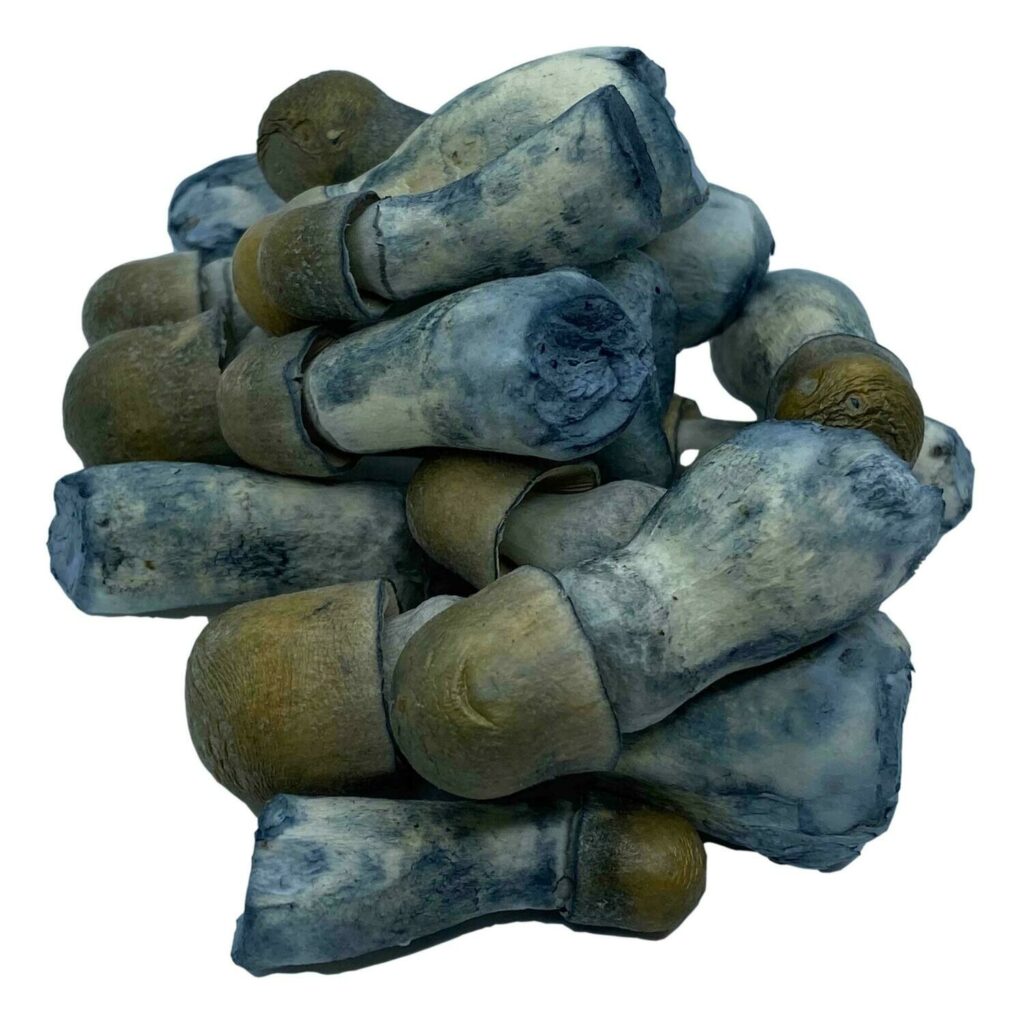 HEMPEARTH - A Guide To Over 49 Different Magic Mushroom Strains 4 1883003537