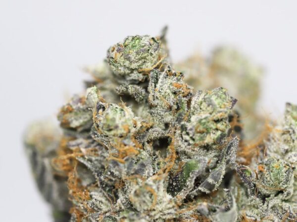 HEMPEARTH - Spec Ops - Indica Dominant Hybrid – 60% Indica / 40% Sativa - 34% THC - Image 2