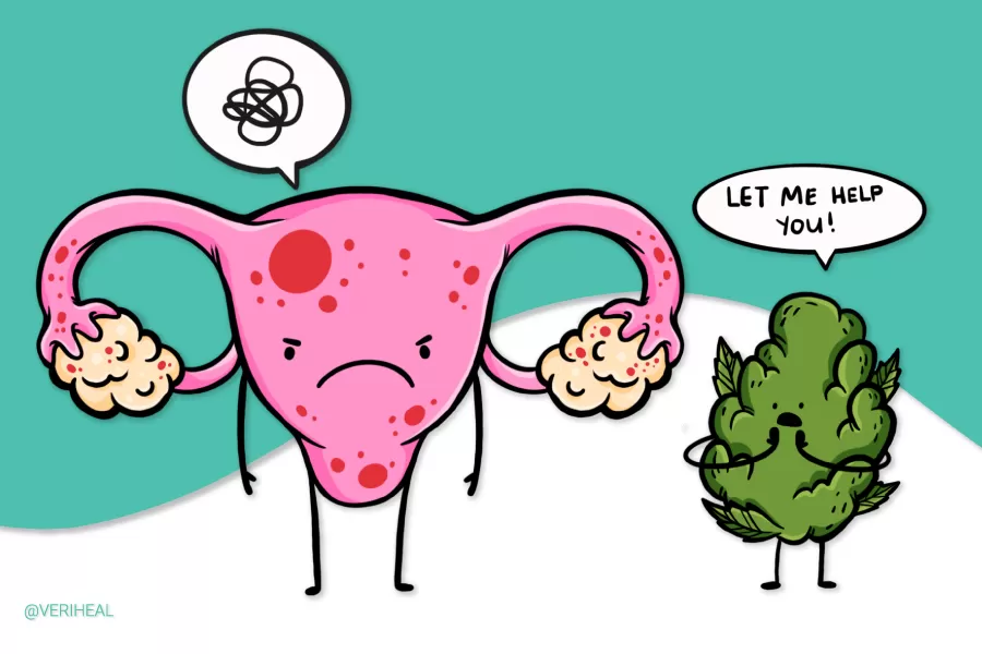 HEMPEARTH - The Benefits Of Psychedelics And High THC Cannabis Oil For Endometriosis 5 Using Medical Cannabis for Endometriosis Management and Relief