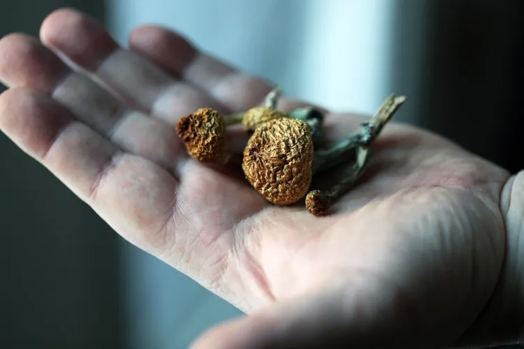 28588778 20220125 psilocybin 0218 1643496547