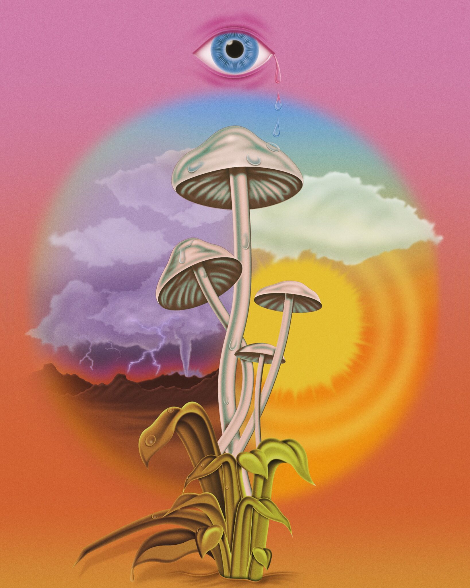 psychedelics plant medicine climate scaled