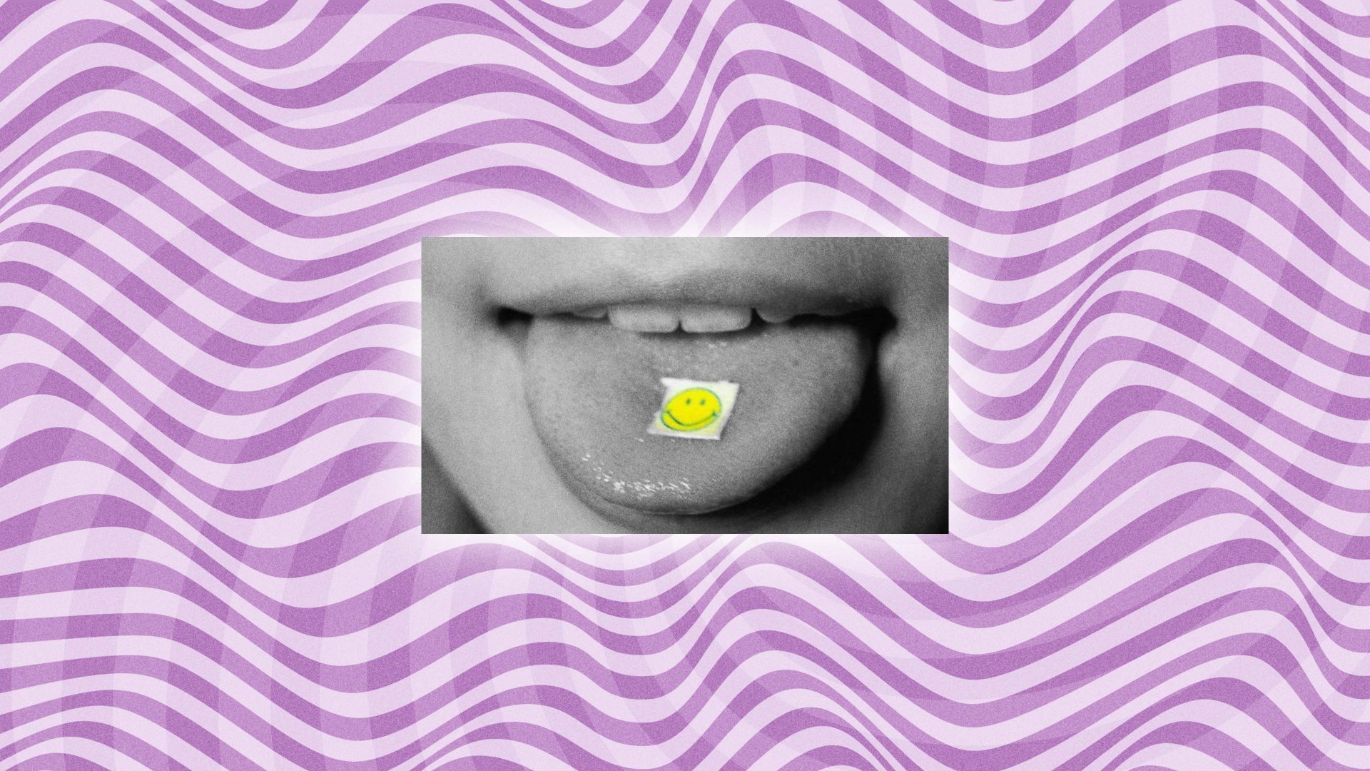 336 CAROUSEL lsd
