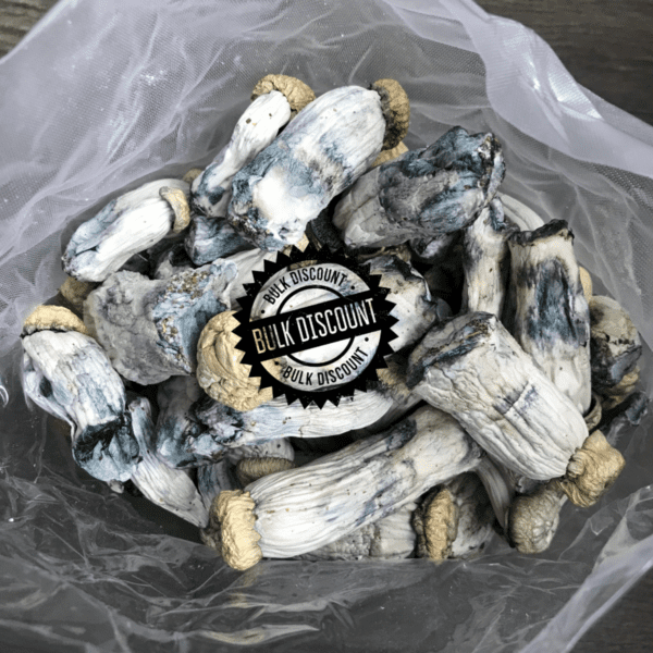 HEMPEARTH - Magic Mushrooms Bulk - 1lb/16oz - 454 Grams