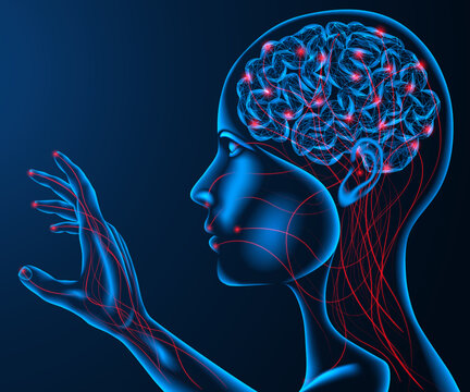 HEMPEARTH- How Magic Mushrooms Affect the 5 Senses 5 360 F 1111033391 L1S4s5O3eo38fXiAL1BIu2Tu7tQcUai5