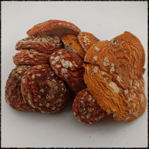 HEMPEARTH - Amanita Muscaria - Limited Time "NEW"