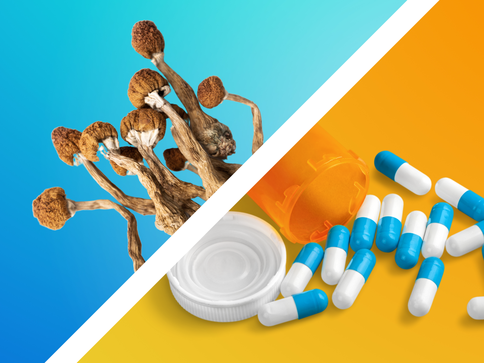 HEMPEARTH - Replace Your Antidepressants With Psychedelics 2 Interactions
