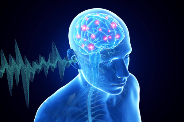 HEMPEARTH- How Magic Mushrooms Affect the 5 Senses 4 Sound hearing hearing loss and the brain