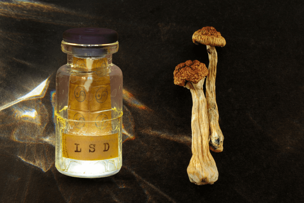 HEMPEARTH - What to Expect When Mixing Psychedelics 4 Website Inspo Images for Mitch 34