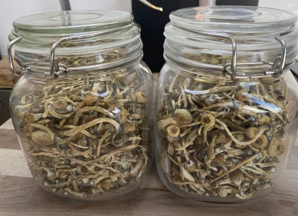 WhatsApp Image 2024 06 09 at 22.42.44 1