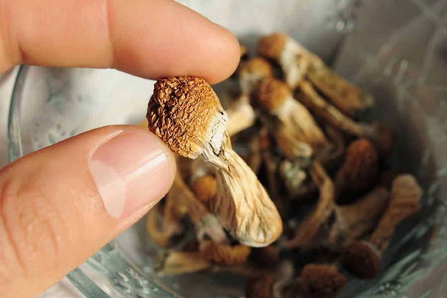 is it safe to buy shrooms online 1