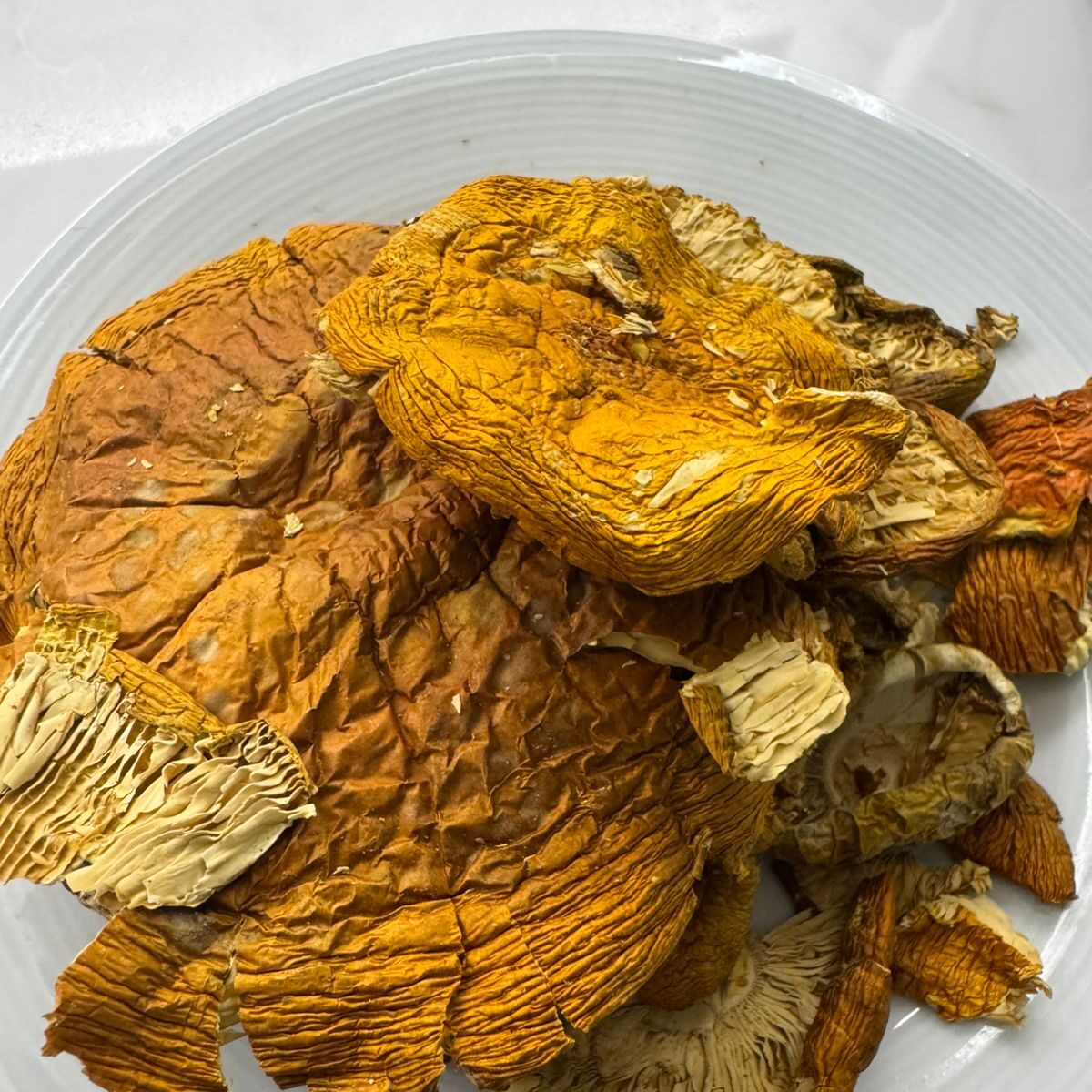 HEMPEARTH - The Benefits of Amanita Muscaria Magic Mushrooms 3 WhatsApp Image 2025 06 17 at 14.17.45 d025416f edited