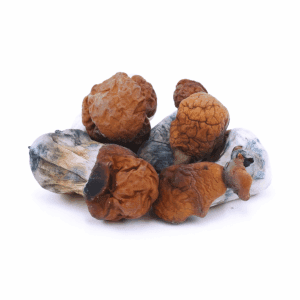 HEMPEARTH - Bluey Vuitton (Premium)